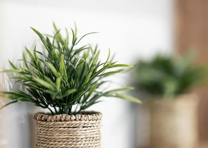 Spacious 3-bedroom With Wifi, Ac In Charming Kalamaria - Mountain View * Tesalónica